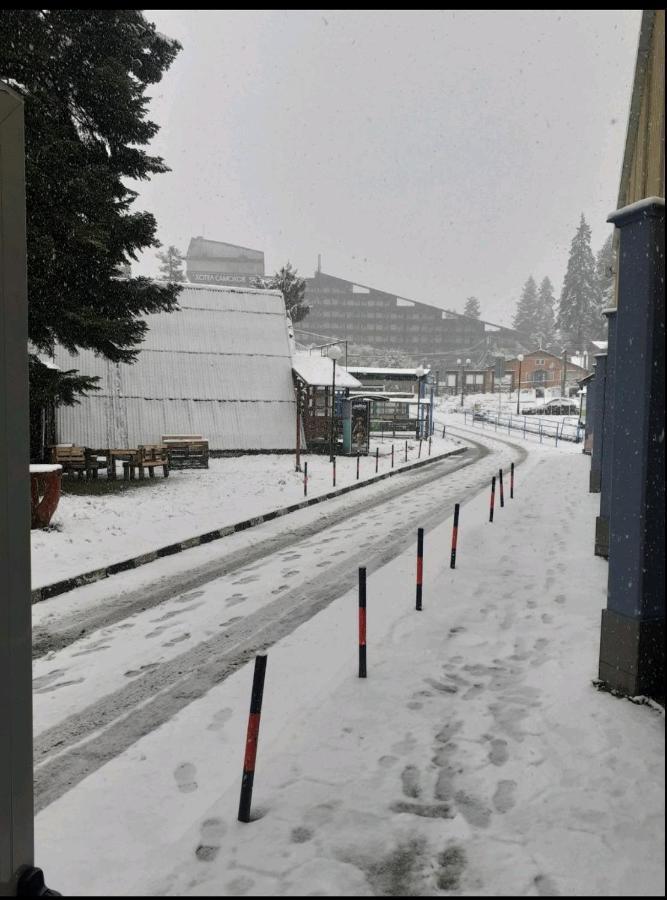 Iglika 2 Snowy Night V 31 Apartamento Borovets Exterior foto